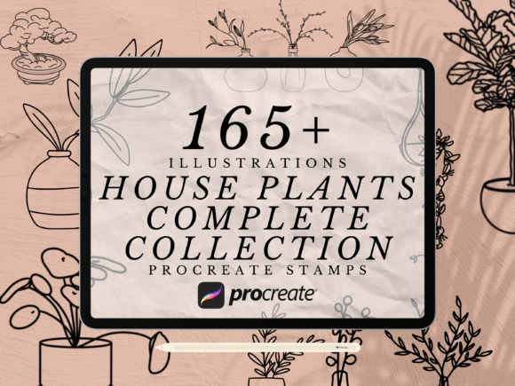 Download 165+ House Plants Procreate Stamps - Stamp Collection