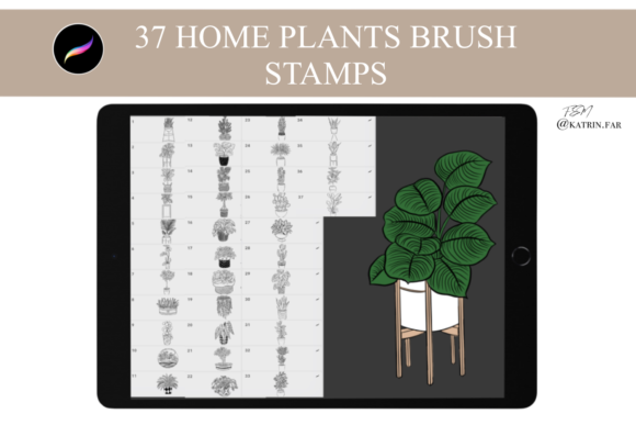 Download Home Plants Stamps Brushes for Procreate - Stamp Collection