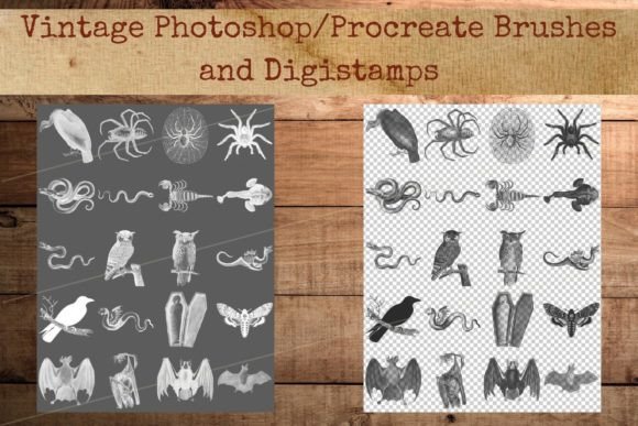 Download Halloween Digistamps &amp; Photoshop Brushes - Stamp Collection