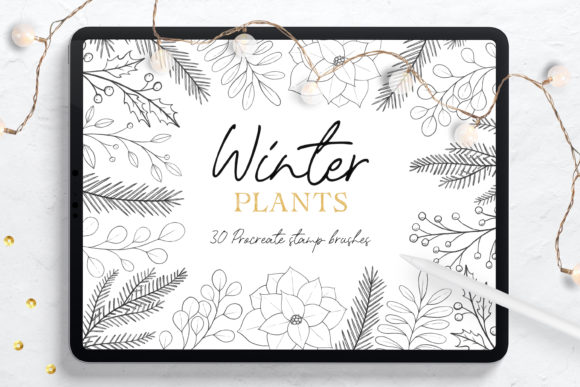 Download Winter Plants Procreate Stamp Brushes - Stamp Collection