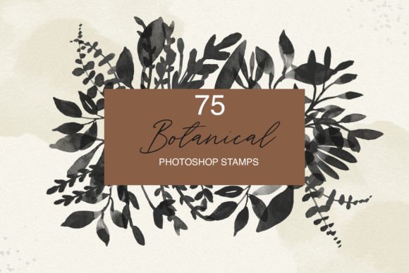 Download Botanical Photoshop Stamps - Stamp Collection